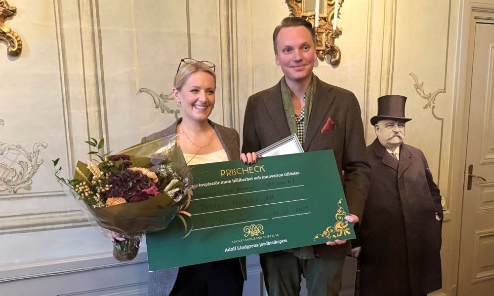 Copy of Mall webbplats